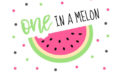 One In A Melon Party